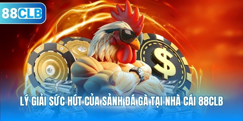 Lý giải sức hút của sảnh đá gà tại nhà cái 88CLB